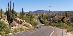 A long and winding road comes to mind